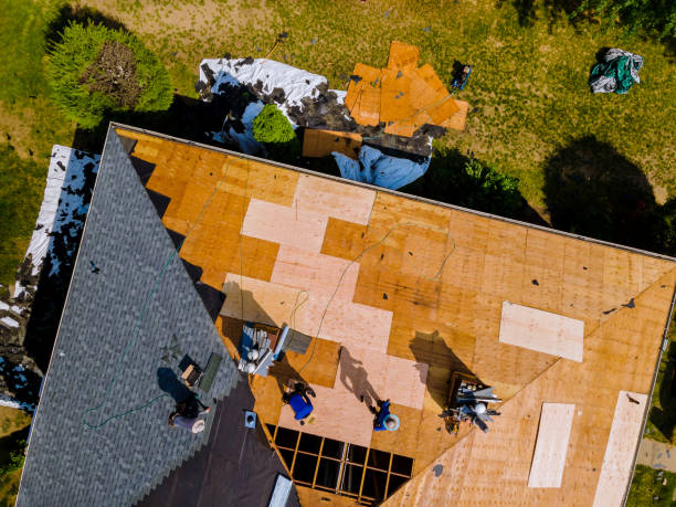 Best Flat Roof Repair Services  in Park View, IA