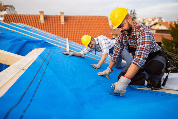 Best Roof Maintenance Services  in Park View, IA