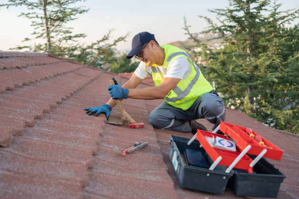 Best Roof Leak Repair  in Park View, IA