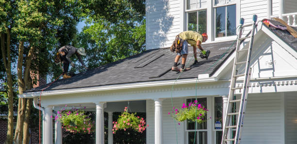 Best Roof Gutter Cleaning  in Park View, IA